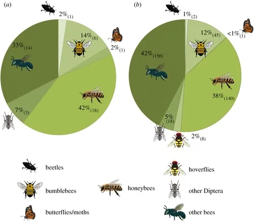 The Significance of Insect Biodiversity on Ecosystem Functioning and Stability; A Review