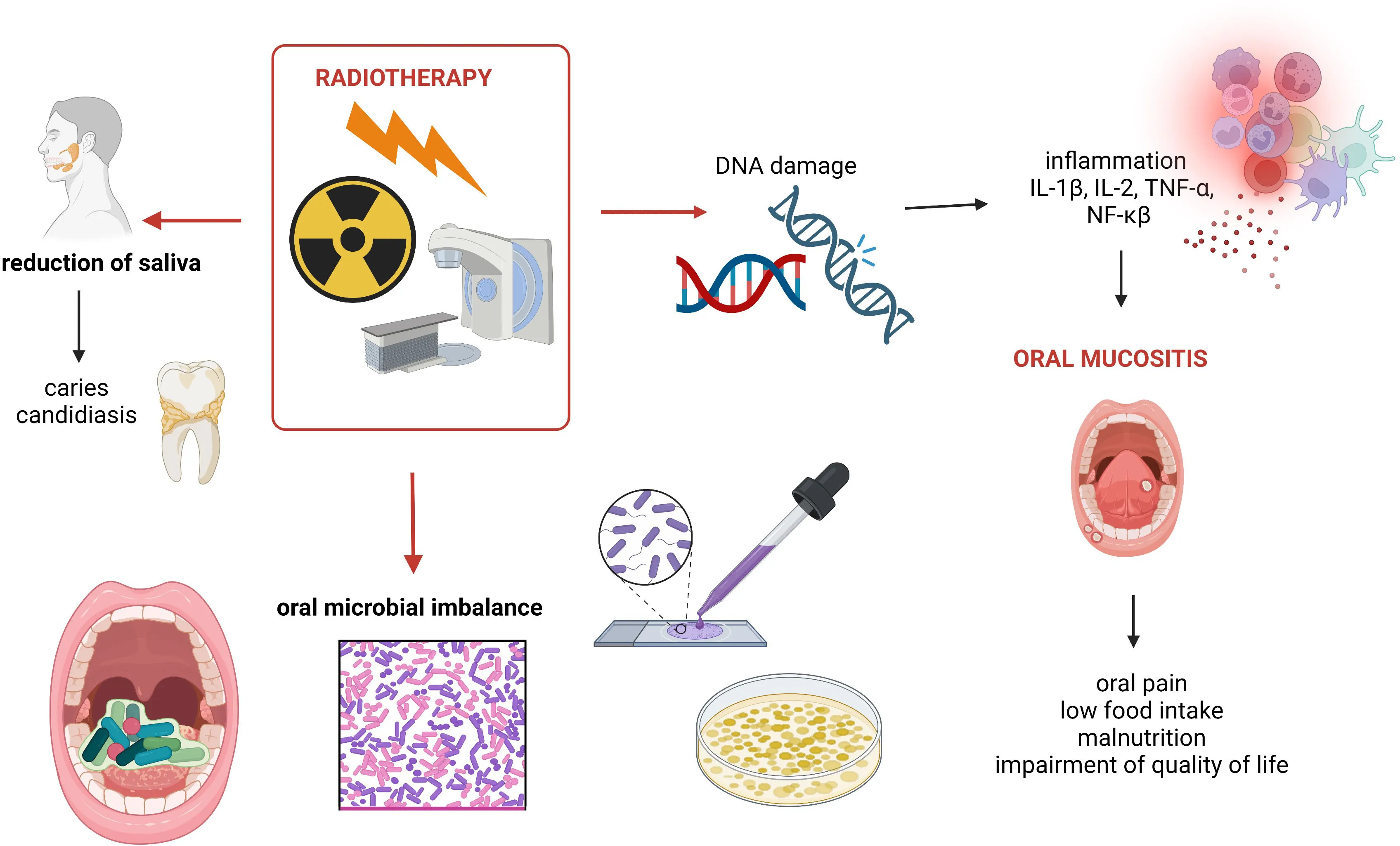 Anti-Cancer Therapy Options in Pediatric Patients, Prevalence of Oral Mucositis, and Treatment Strategies in Saudi Arabia: A Cross-Sectional Survey